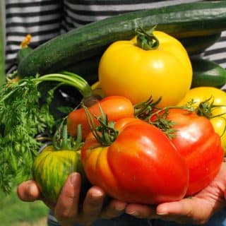 dieta dr dąbrowskiej - warzywa i owoce