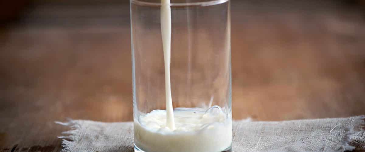 Mleko owsiane – atrakcyjna alternatywa dla mleka krowiego?