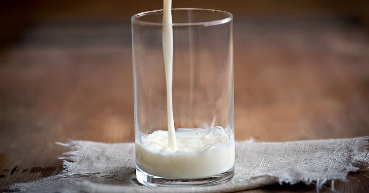 Mleko owsiane – atrakcyjna alternatywa dla mleka krowiego?