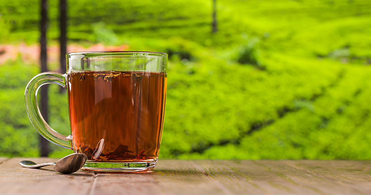 Popularna herbata yerba mate – kto nie powinien jej pić oraz jakie ma zalety?